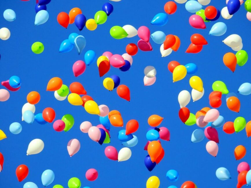 Image 0 : FÊTE DE L'ÉTÉ
