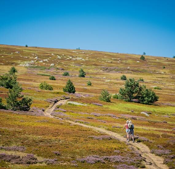 Image 0 : FÊTE DE LA NATURE EN LOZÈRE : LECTURES INSOLITES