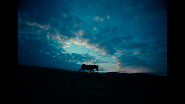 Image 0 : FILM DOCUMENTAIRE