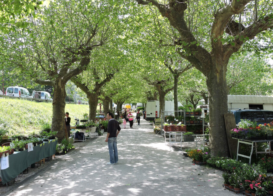 Image 0 : FOIRE AUX PLANTS