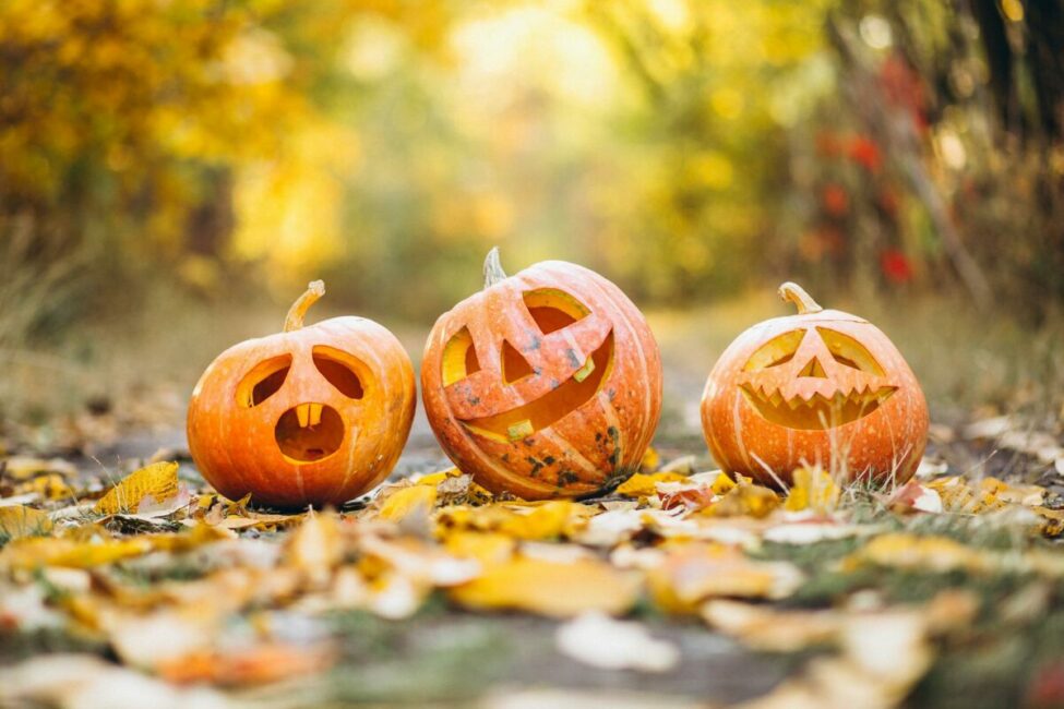 Image 0 : HALLOWEEN DES ENFANTS