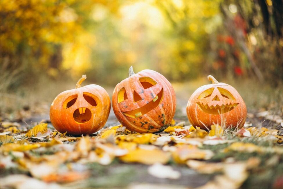 Image 0 : HALLOWEEN