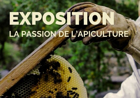 Image 0 : INAUGURATION EXPOSITION : NUMA BASTIDE 2026 – LA PASSION DE L'APICULTURE
