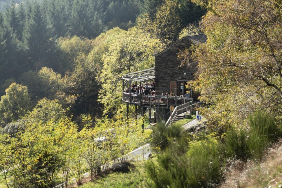 Image 0 : JOURNÉE DU CHÂTAIGNIER