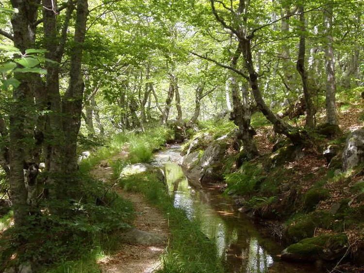 Image 1 : JOURNÉES EUROPÉENNE DU PATRIMOINE : BÉAL DE FELGEROLLES