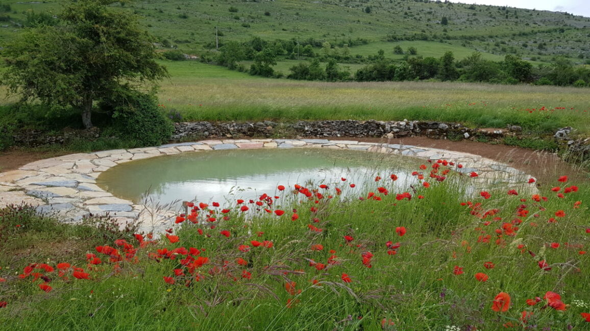 Image 0 : JOURNÉES EUROPÉENNES DU PATRIMOINE: DÉAMBULATION  « L'EAU APPRIVOISÉE »