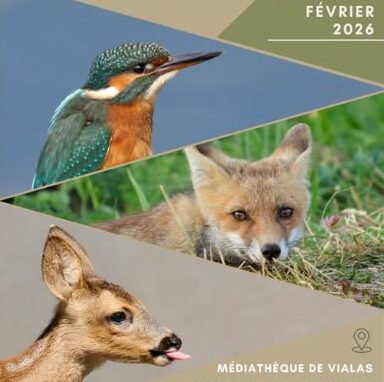 Image 0 : L'EXPOSITION VOISINS-VOISINES : À POIL, À PLUME, ILS HABITENT AVEC NOUS