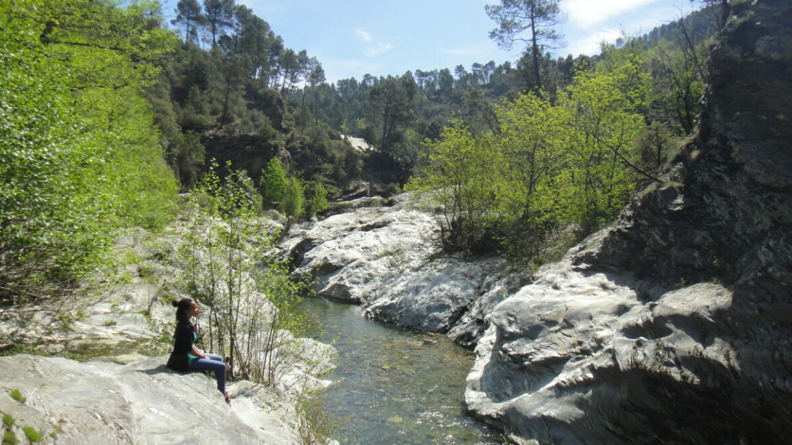 Image 0 : LES EXPLORATEURS DE LA RIVIÈRE