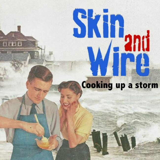 Image 0 : LES HEBDOS DE L'ÉTÉ -SKIN AND WIRE
