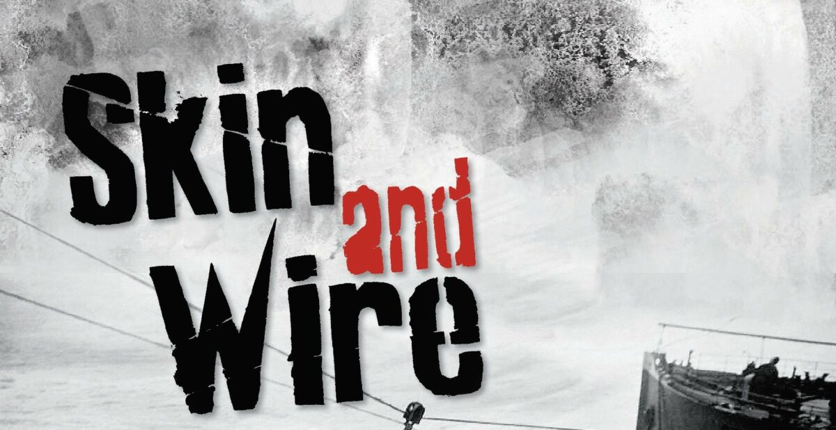 Image 0 : LES HEBDOS DE L'ÉTÉ -  SKIN AND WIRE