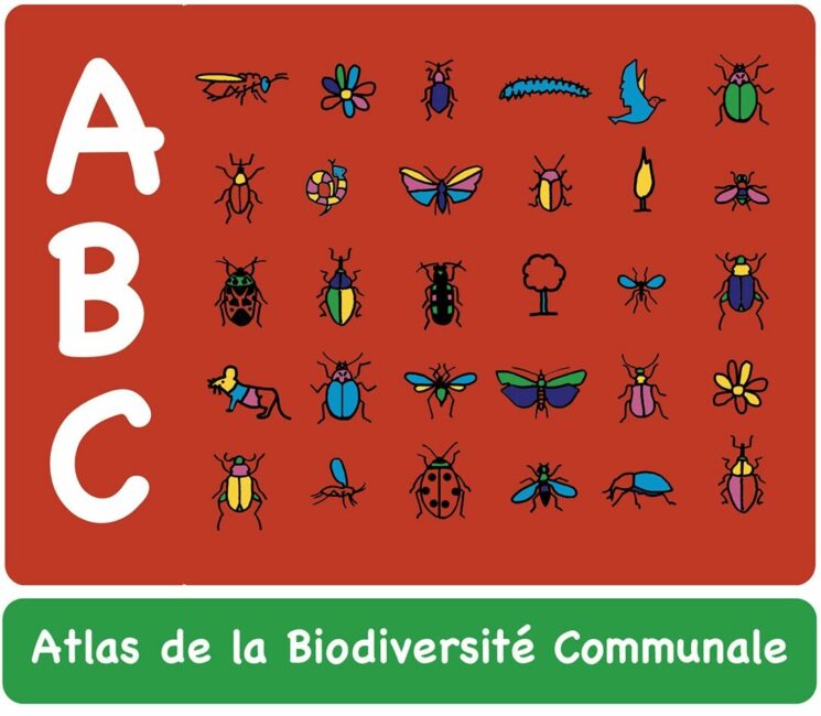 Image 0 : LES PETITS MARDIS : JOURNÉE DE LA BIODIVERSITÉ