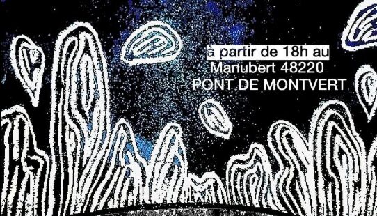 Image 0 : MANUBASS