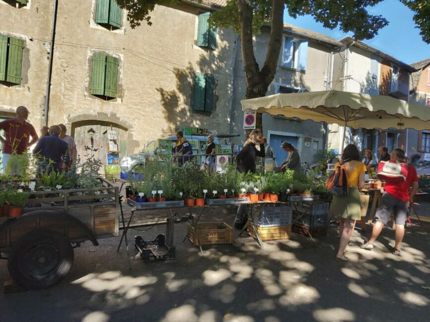 Image 1 : MARCHÉ DE SAINT-GERMAIN-DE-CALBERTE