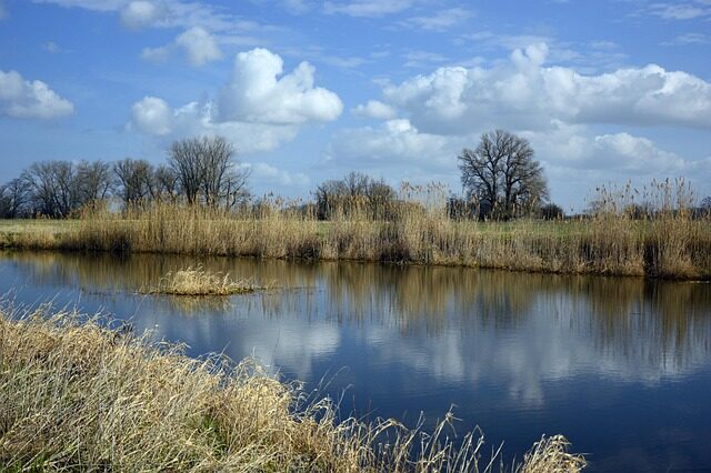 Image 0 : NETTOYAGE DES BERGES DE RIVIÈRE