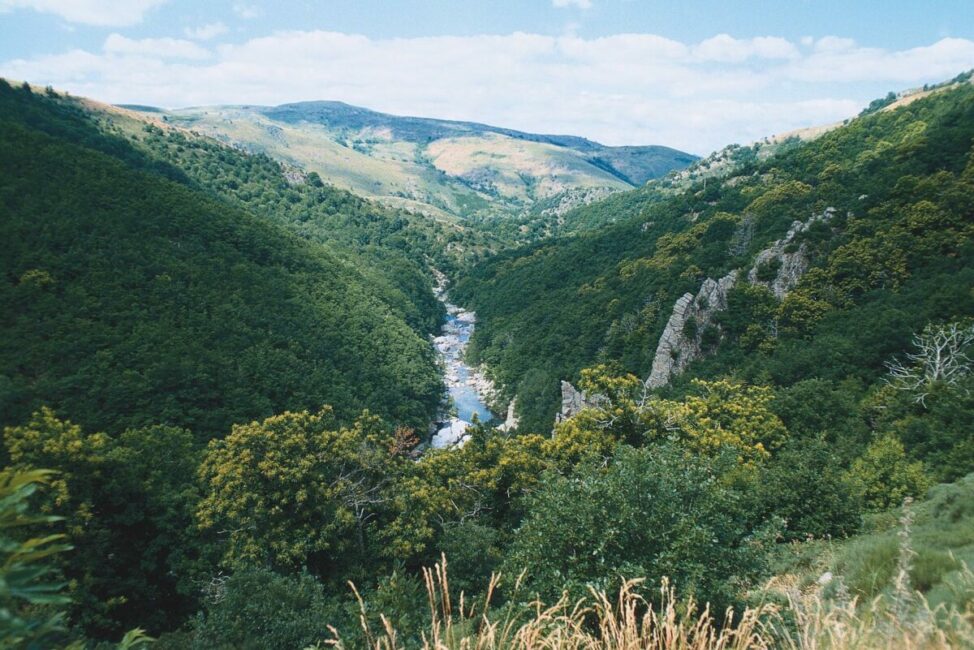 Image 0 : PROJECTION DU NOUVEAU FILM DE LUIGI DE ZARLO : LES CÉVENNES