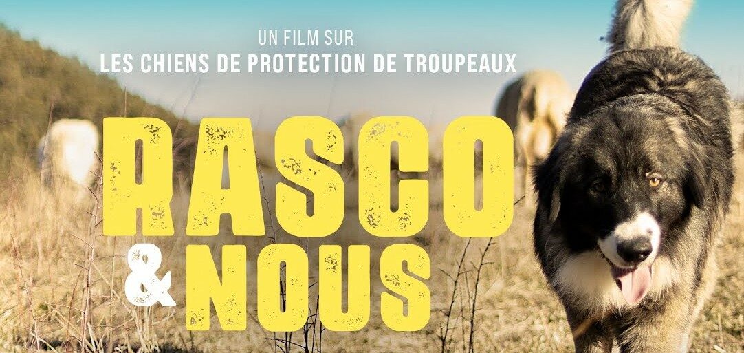 Image 0 : PROJECTION : RASCO & NOUS