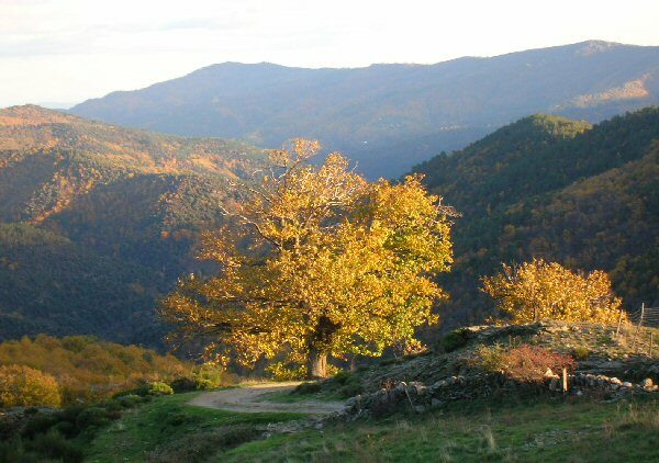 Image 0 : RANDONNÉE AVEC DOMINIQUE