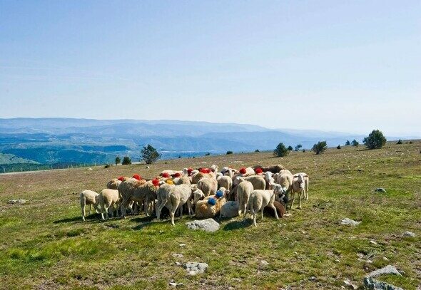 Image 0 : RENCONTRES PASTORALES