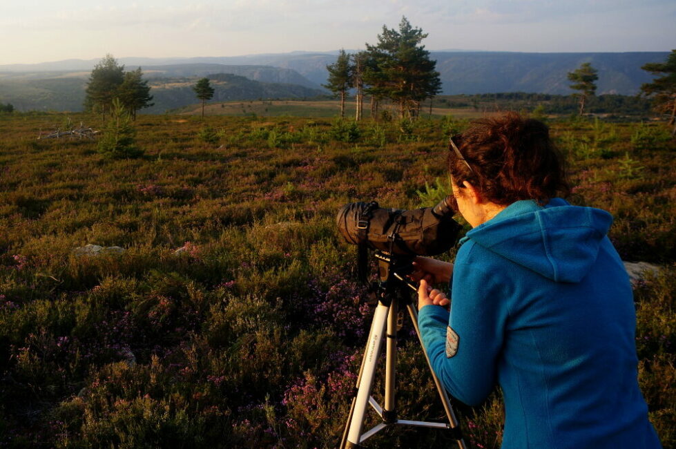 Image 0 : SOIREE ASTRONOMIE EN CEVENNES