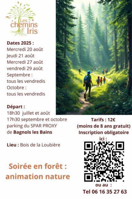 Image 1 : SORTIE NATURE EN FORÊT : FAUNE, FLORE AU CRÉPUSCULE