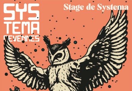 Image 0 : STAGE DE SYSTEMA