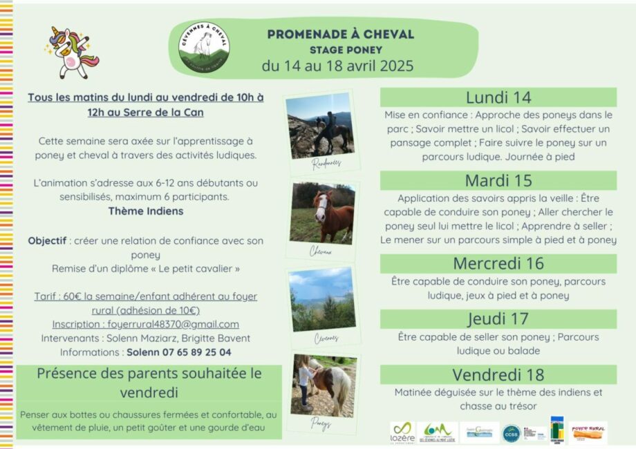 Image 1 : STAGE PONEY