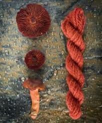 Image 0 : TEINTURE AUX CHAMPIGNONS