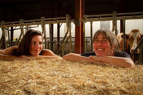 Image 1 : TOTAL FESTUM