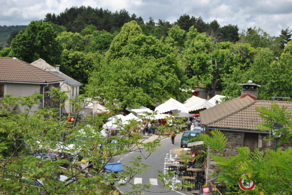 Image 1 : TOTAL FESTUM - FÊTE DE LA TRANSHUMANCE