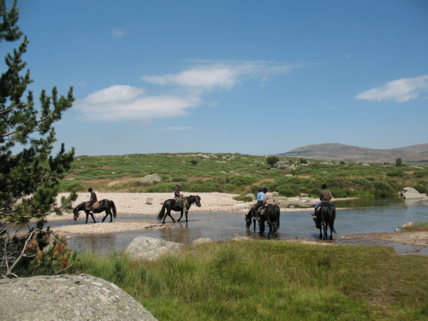 Image 0 : TROIS JOURS A CHEVAL SUR LE MONT LOZERE