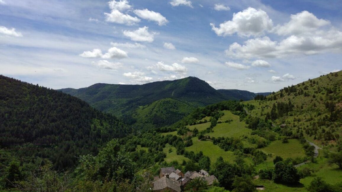 Image 0 : UN ÉTÉ AVEC LE PARC : À MI PENTE SOUS LE MÉJEAN