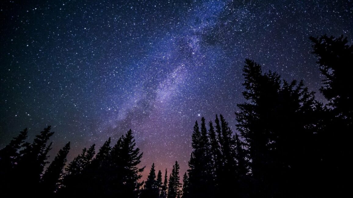 Image 0 : UN ÉTÉ AVEC LE PARC : LA NUIT RÉVÉLÉE