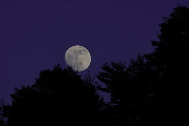 Image 0 : UN ÉTÉ AVEC LE PARC : PLEINE LUNE SUR LE MONT LOZÈRE