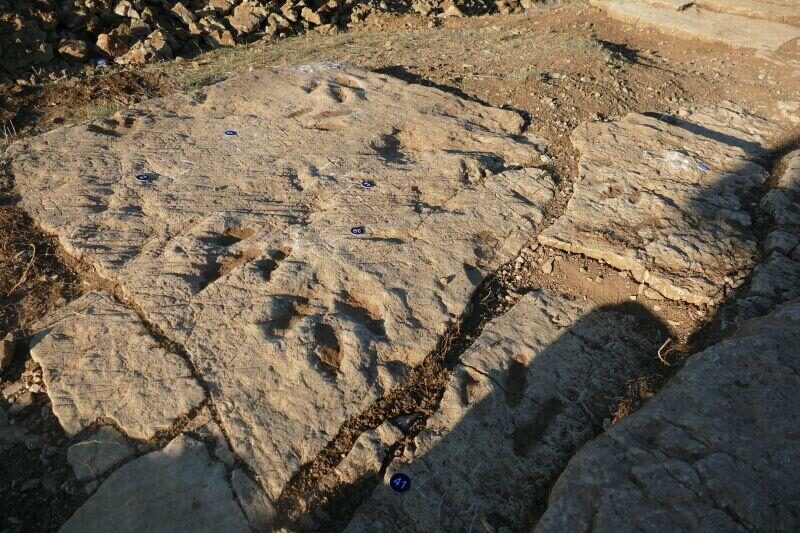 Image 0 : UN ÉTÉ AVEC LE PARC : SUR LES TRACES DES DINOSAURES