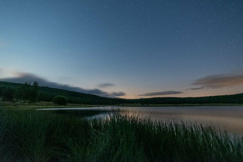 Image 0 : UN ETE AVEC LE PARC : UNE SOIREE AUTOUR DE L'ETANG