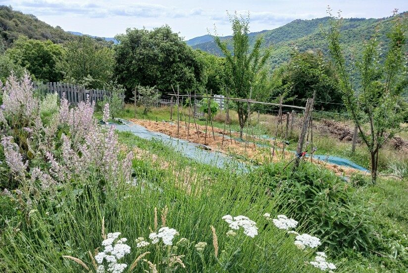 Image 0 : VISITE LES JARDINS DE BOUSSEGURES