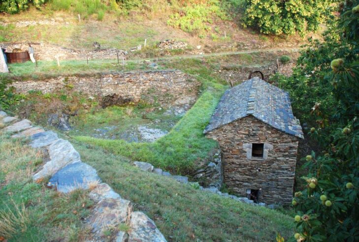 Image 0 : VISITE PATRIMOINE AU MOULIN BONIJOL