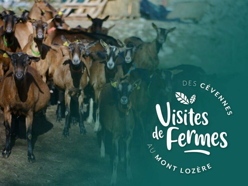 Image 0 : VISITES DE FERMES 2025 : LA FERME DE COCAGNE