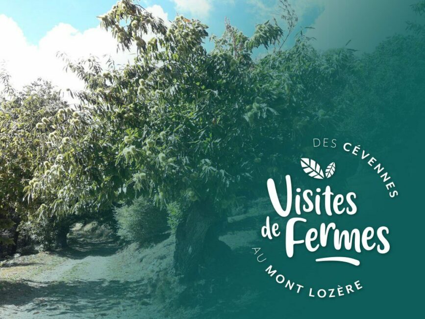 Image 0 : VISITES DE FERMES 2025 : LES CHATAIGNERAIES DE MATTHIAS