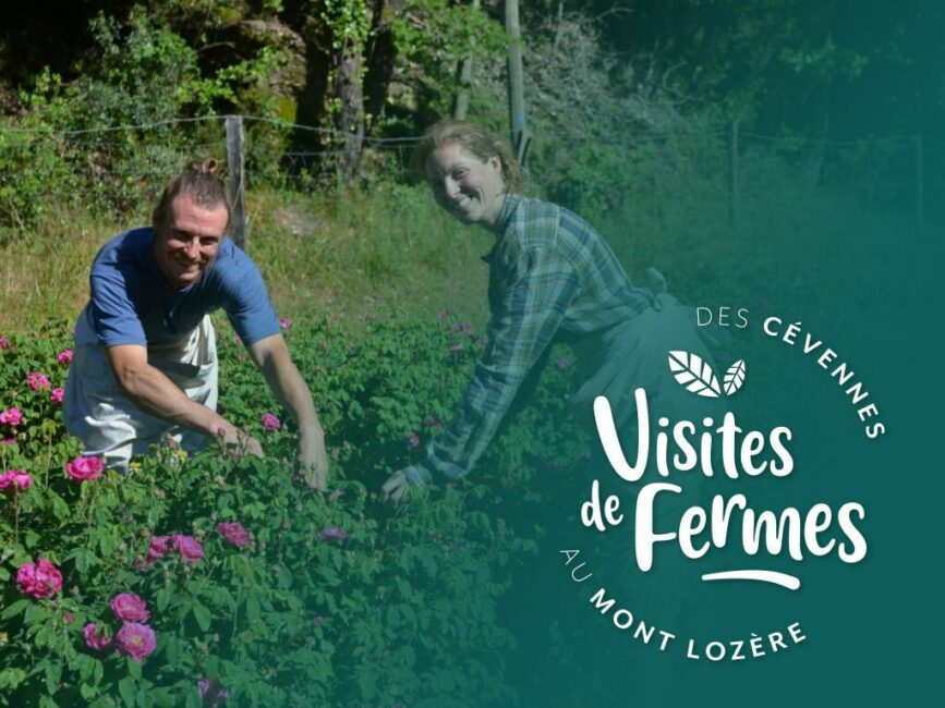 Image 0 : VISITES DE FERMES 2025: LES PLANTES DES CEVENNES