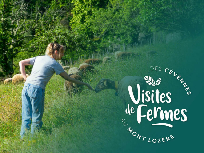 Image 0 : VISITES DE FERMES 2025: LES SAVEURS DU CASTANET