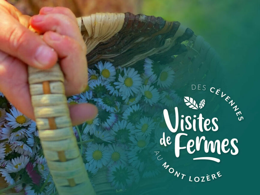 Image 0 : VISITES DE FERMES 2025: LES SECRETS DES CEVENNES