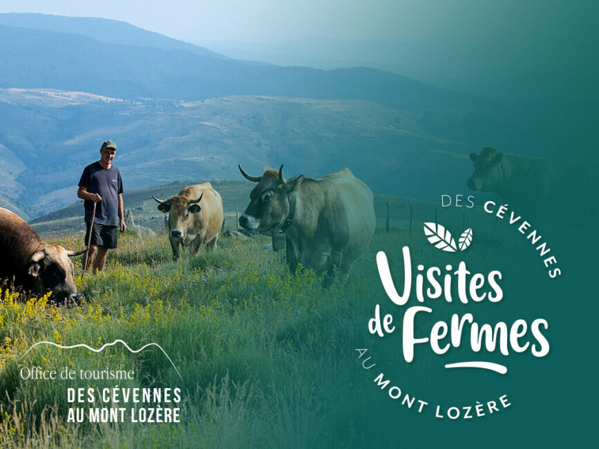 Image 1 : VISITES DE FERMES 2025 : VERGER D'AUTOMNE