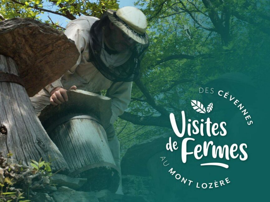 Image 0 : VISITES DE FERMES 2026 : L'ARBRE AUX ABEILLES