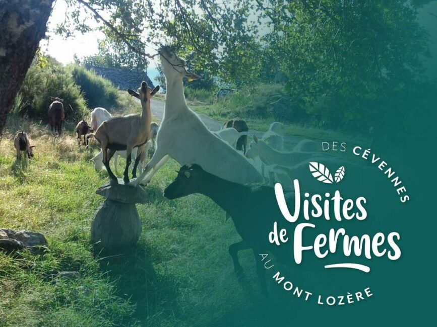 Image 0 : VISITES DE FERMES 2026 : LA FERME DE FOLIE