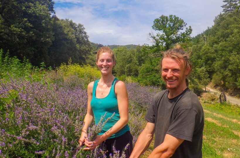 Image 0 : VISITES DE FERMES 2026: LES PLANTES DES CÉVENNES
