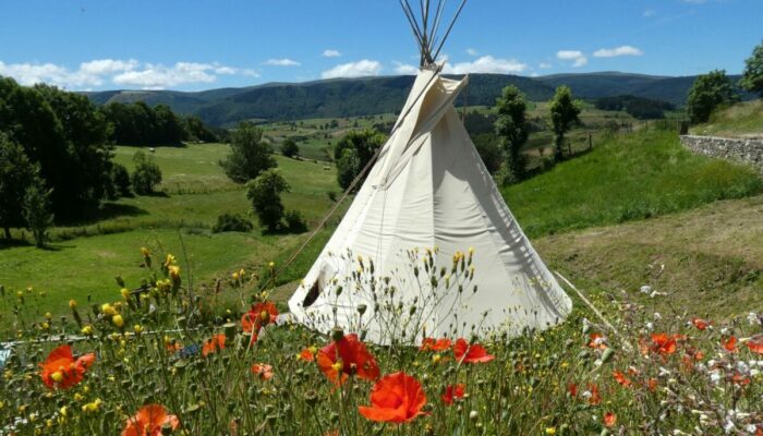 Image 2 : LOZ'AIR TIPIS