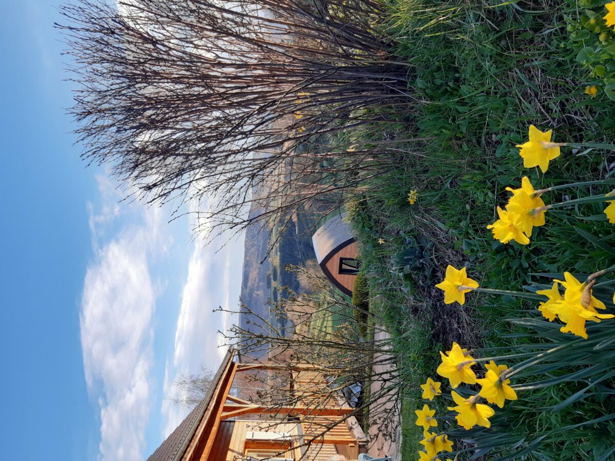 Image 4 : CABANE PETITE OURSE