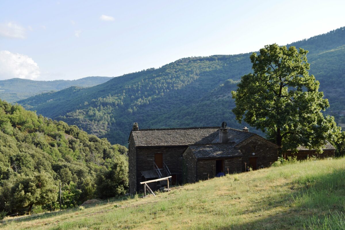 Image 2 : LA ROQUETTE