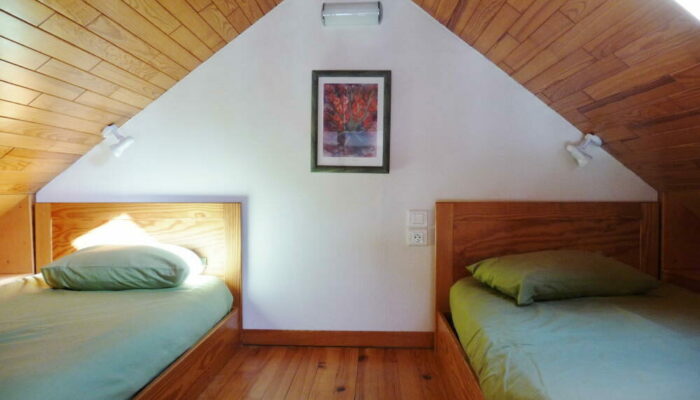 Image 4 : "LE MILLEPERTUIS"